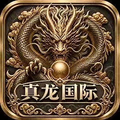 真龙国际
